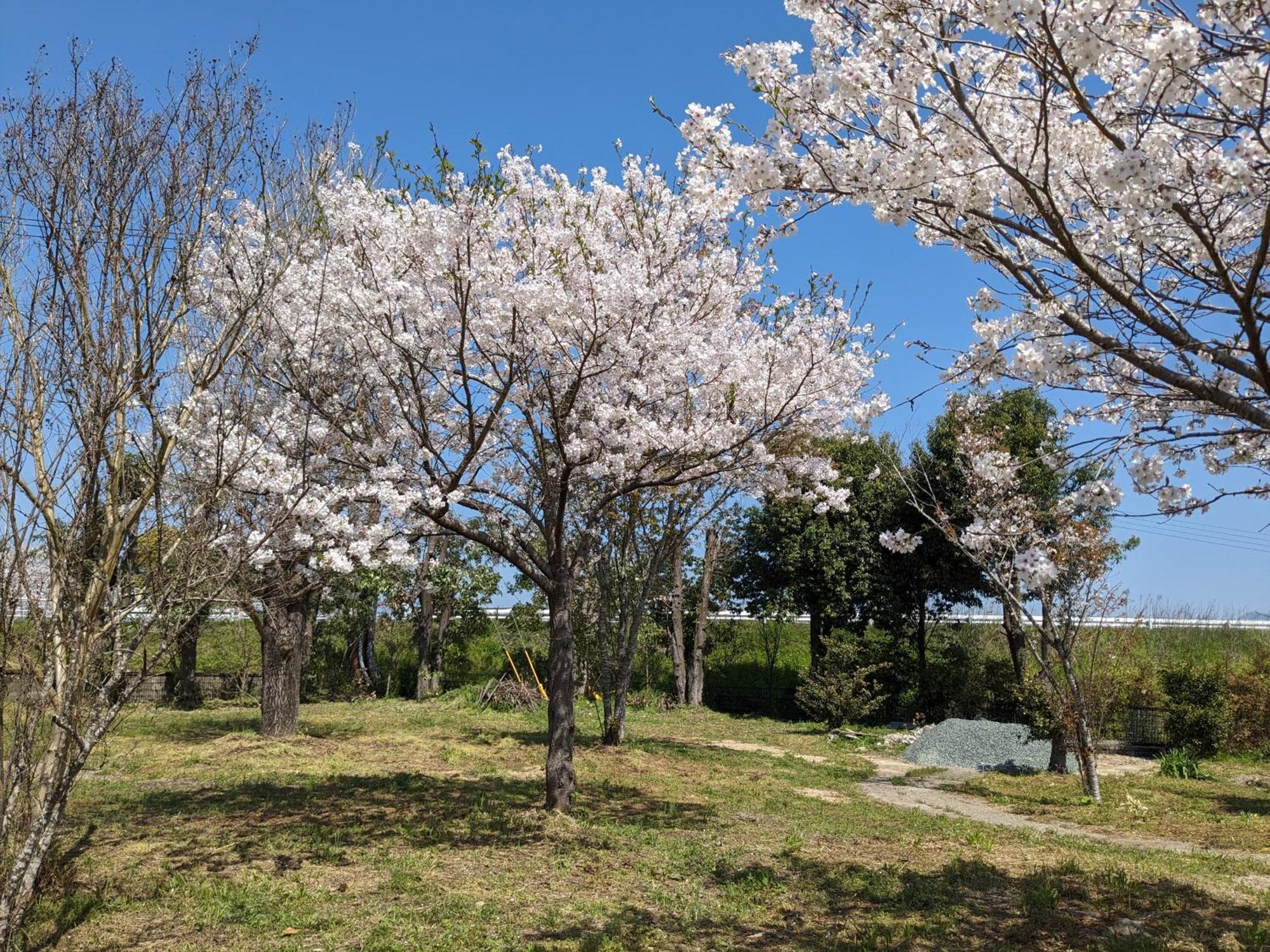 Отель 民泊サライ七城 Kikuchi Экстерьер фото